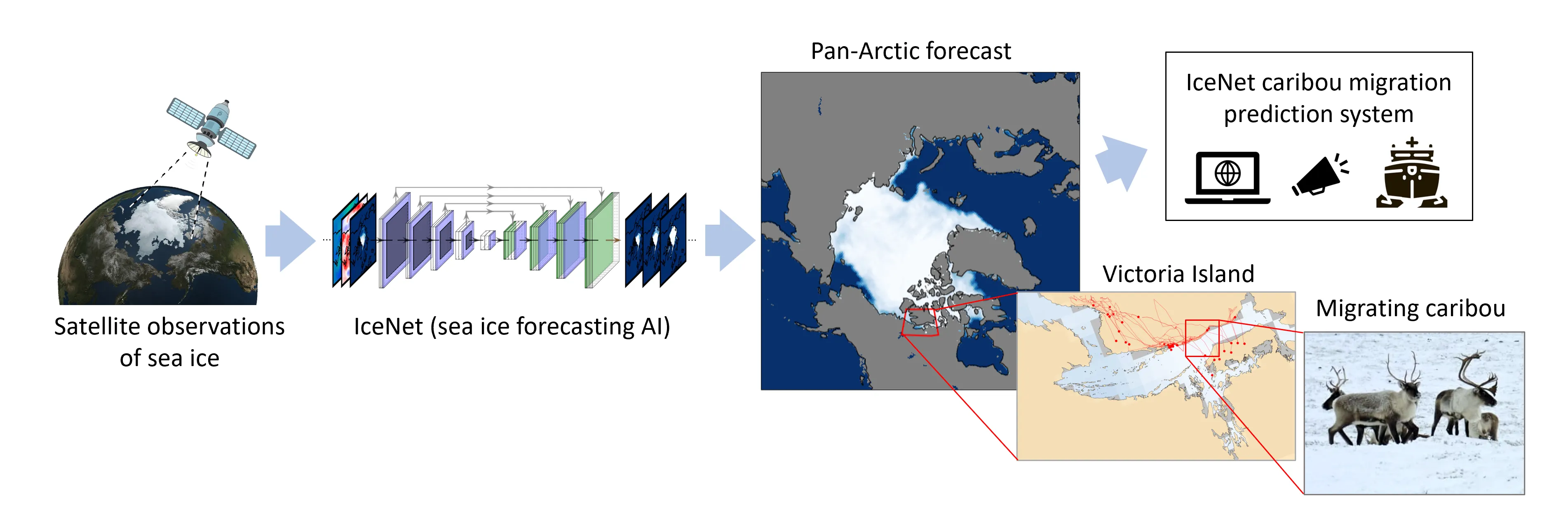 An overview of the IceNet caribou migration prediction system